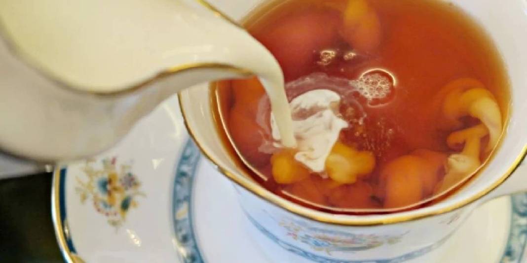 Kemik gücünün sırrı bu bardakta saklı! İngilizler biliyor, her gün içiyor: Lezzeti de şifayı da bir arada sunuyor 3